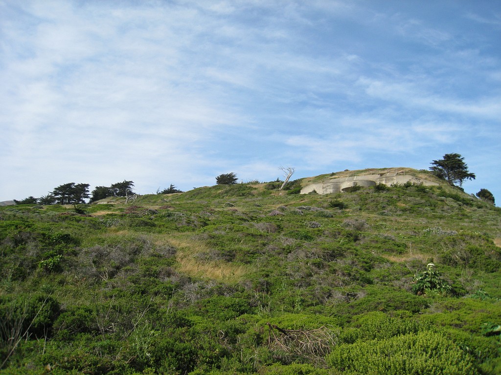 2011 Bay 2 Breakers Friday 0905.JPG - I was able to participate in the 100th annual running of the Bay to Breakers 12K race in San Francisco California. A weekend for sightseeing and racing.